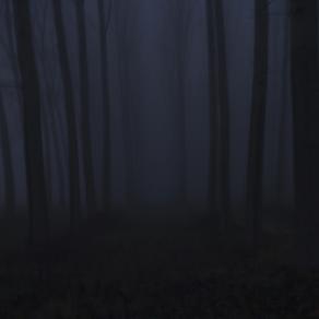 Back and Forth 2007-2013