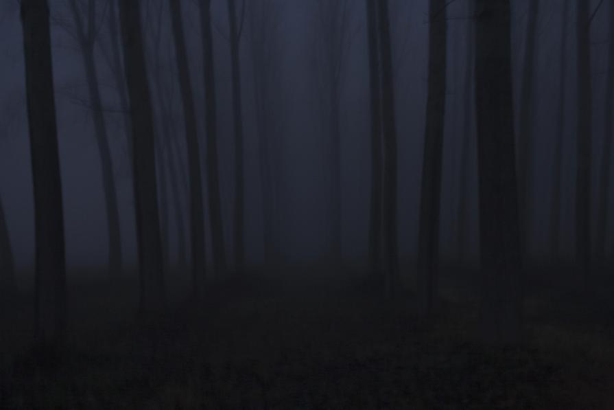 Back and Forth 2007-2013