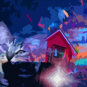 CI VUOLE TUTTA LA VITA PER IMPARARE A VIVERE..!!!