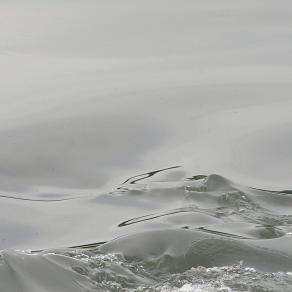 the calm before the storm ? 