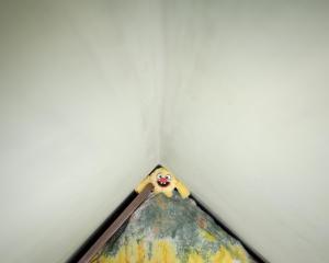 K M Asad - Losing Childhood