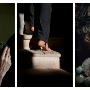 The last summer / III. La guerre 