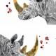Rhinos and blood Rhinos and blood