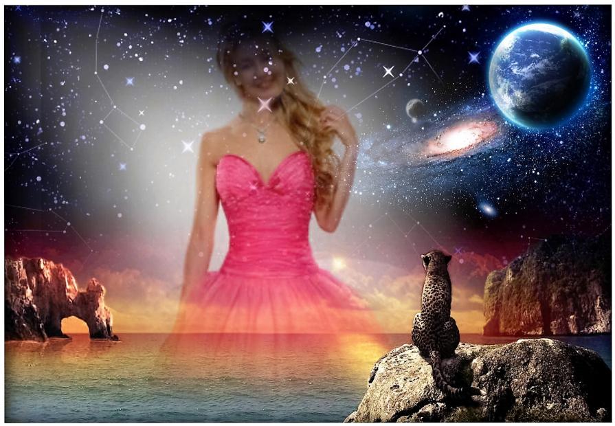 È questa via o l'altra !!!