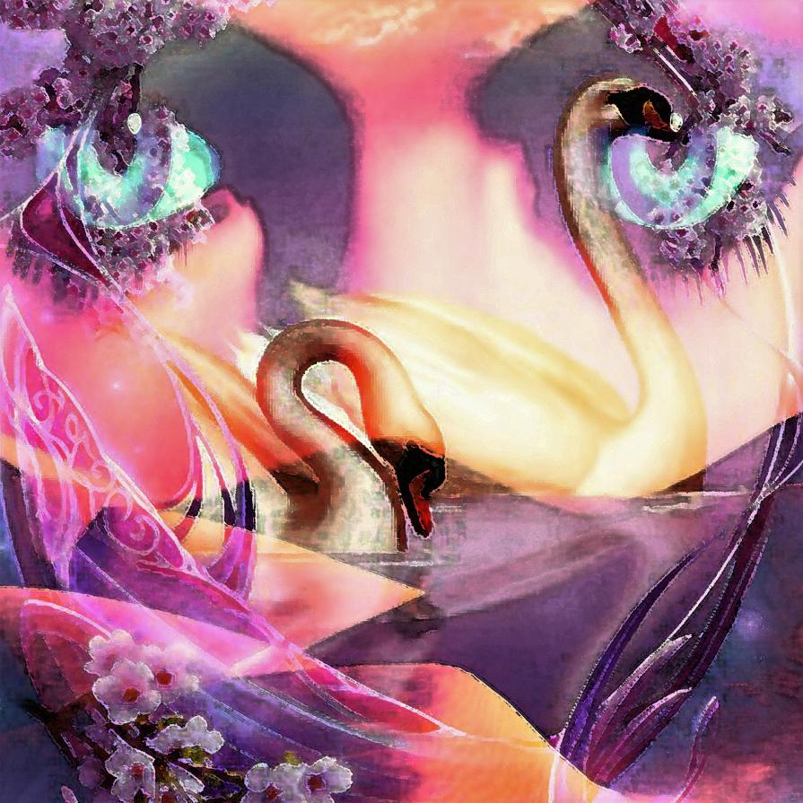 . . . IL CIGNO !!! . . . 