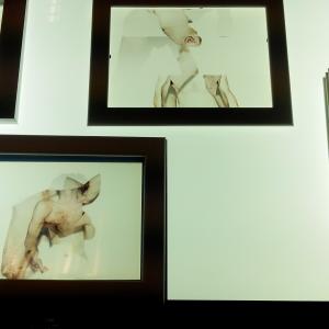 Work in progress 03 Work in progress 03