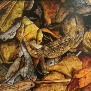 Mimesi Camaleonte di Elliot