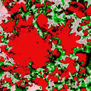 Vortice di Spine e di Dolore 