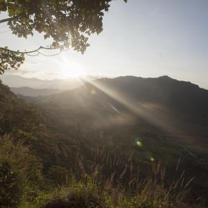 EL RESPLANDOR / THE SHINING EL RESPLANDOR / THE SHINING