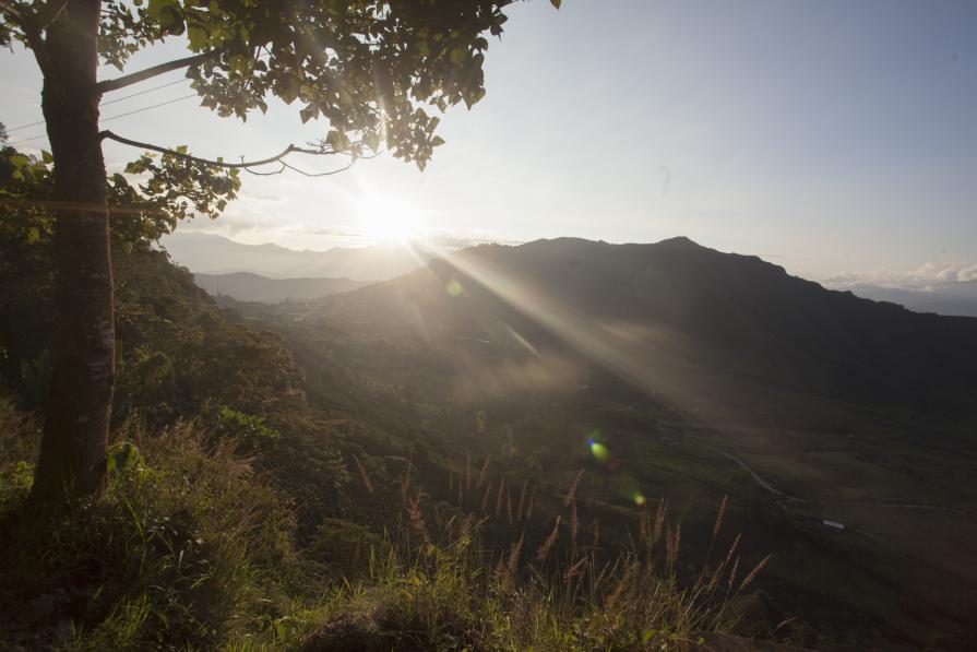 EL RESPLANDOR / THE SHINING