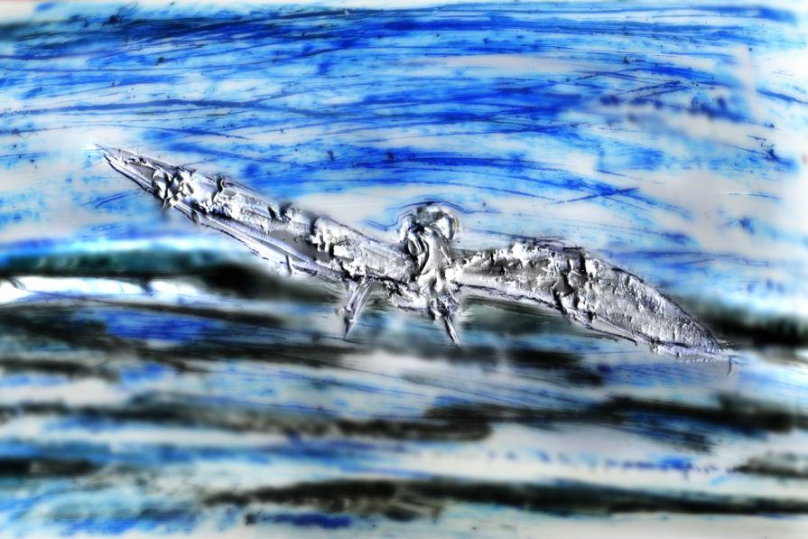 cose' vi è di piu' leggero di un volo di gabbiano.