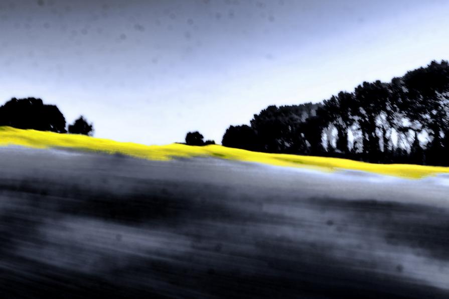 Su di un campo di grano la mia anima gioisce di più    ( On a wheat field, my soul rejoices more ) 