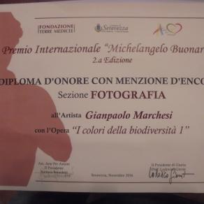Premio Michelangelo 2016