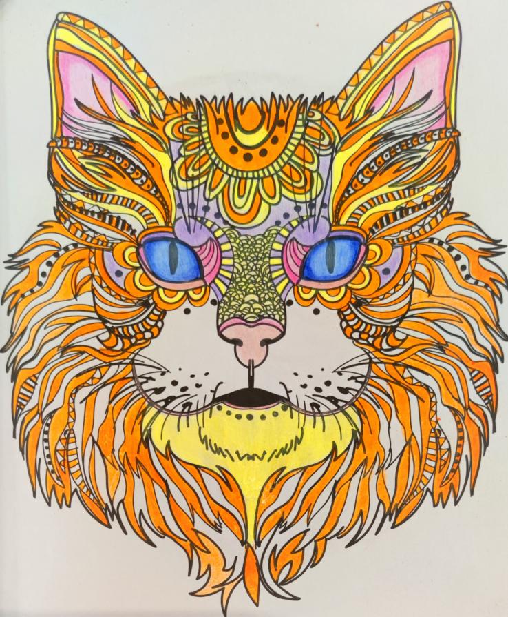 Diagramma felino...!!!