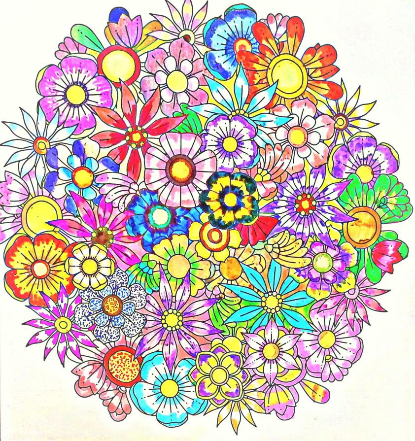 ... Armonia Cromatica della Natura ...