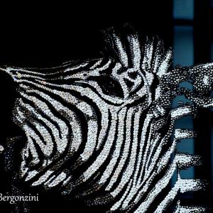 ANIMALS ART A PALAZZO DUCALE