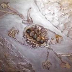 *** SONNO *** SOÑNO  ***  