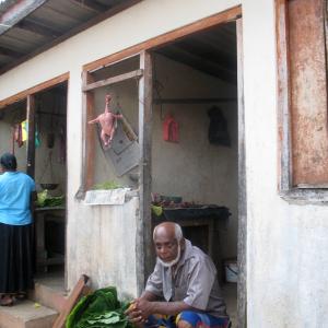 “I colori nel gioco del lavoro – colours in the work game” “I colori nel gioco del lavoro – colours in the work game”