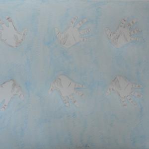 Soqquadro a Scandiano