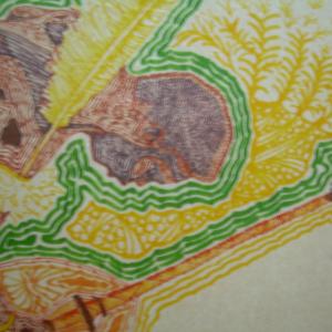 non solo caos di Ghumbert di cattolica