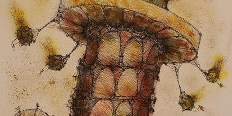 Luce Città per l’Arte - Lumen