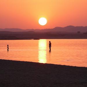 Egitto. Luxor e Marsa Alam