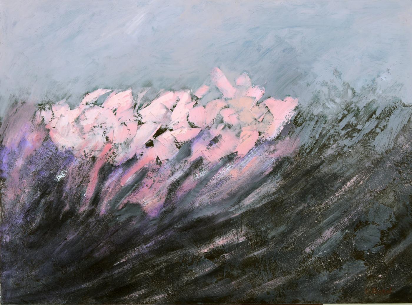 VISIONI NATURALI VISIONI NATURALI