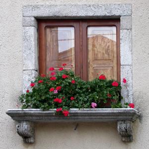 Italia. Calabria. Gerace storia di pietre (2)