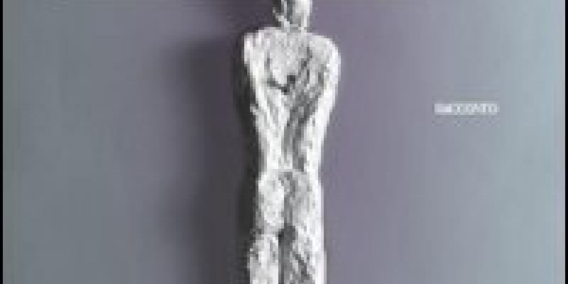 Gli stormi nel cielo Gli stormi nel cielo