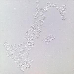 Whiteness - i colori del bianco