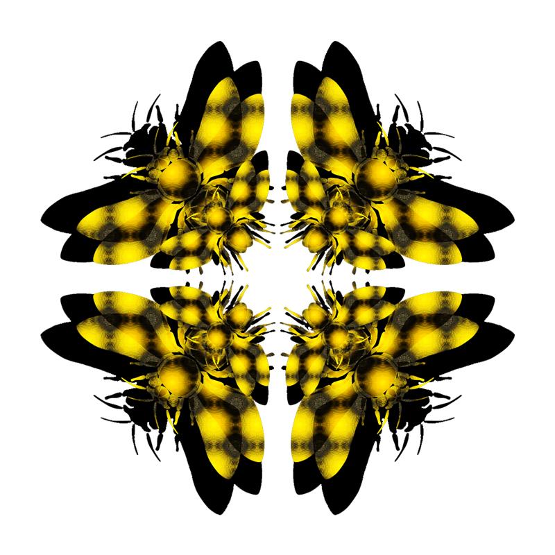 Plight of the Pollinators: Call for Art