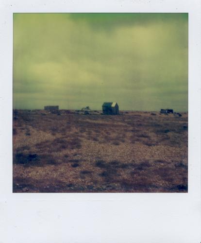 Dungeness