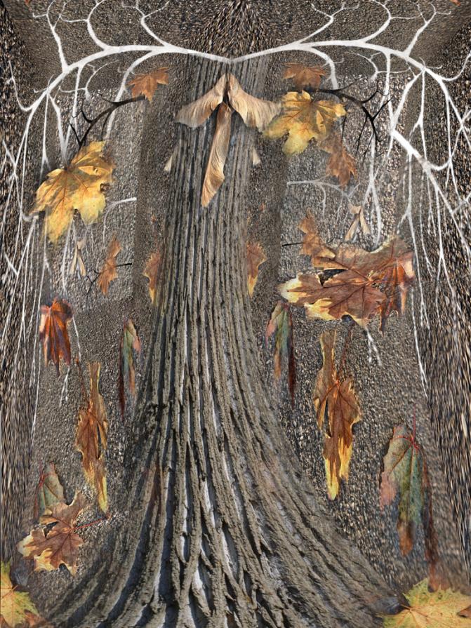 cadono le foglie.la natura va in letargo,,,