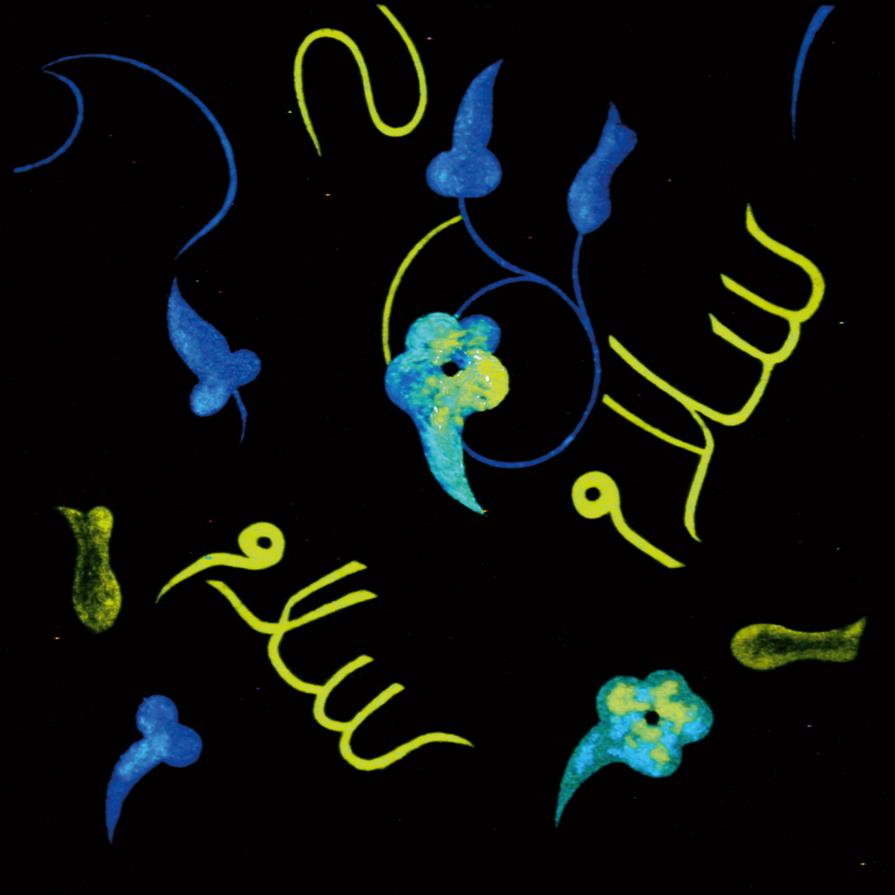 Salam - Pace ( opera al buio )