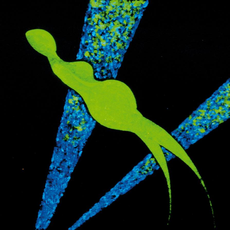 Venus V ( opera al buio )