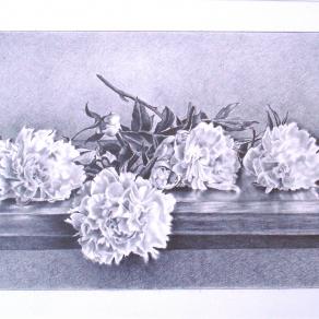 Gianfranco Castelli – Peonie sul tavolo