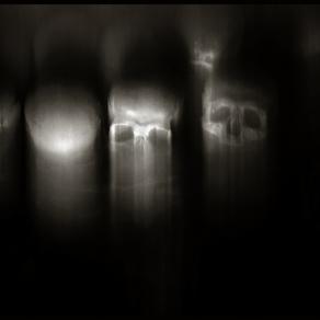 Skulls (Skull, Teschi, Teschio) - fotografia di Augusto De Luca. 11