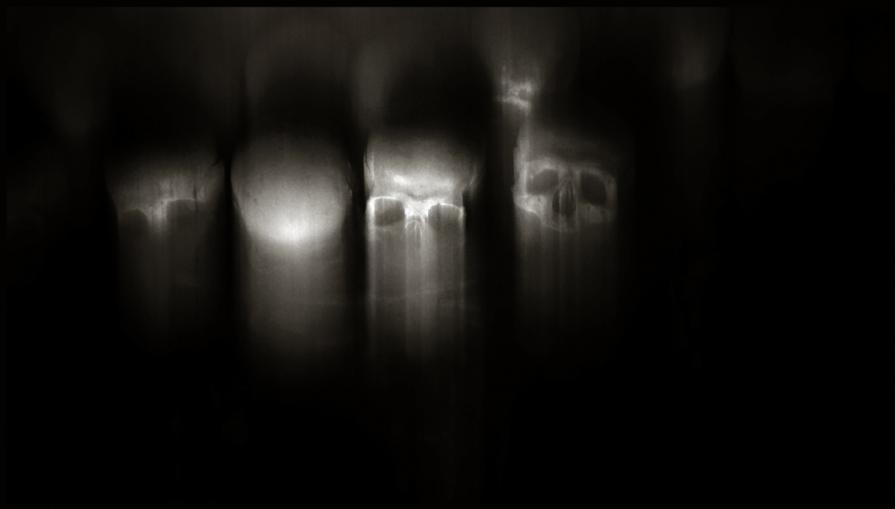 Skulls (Skull, Teschi, Teschio) - fotografia di Augusto De Luca. 11