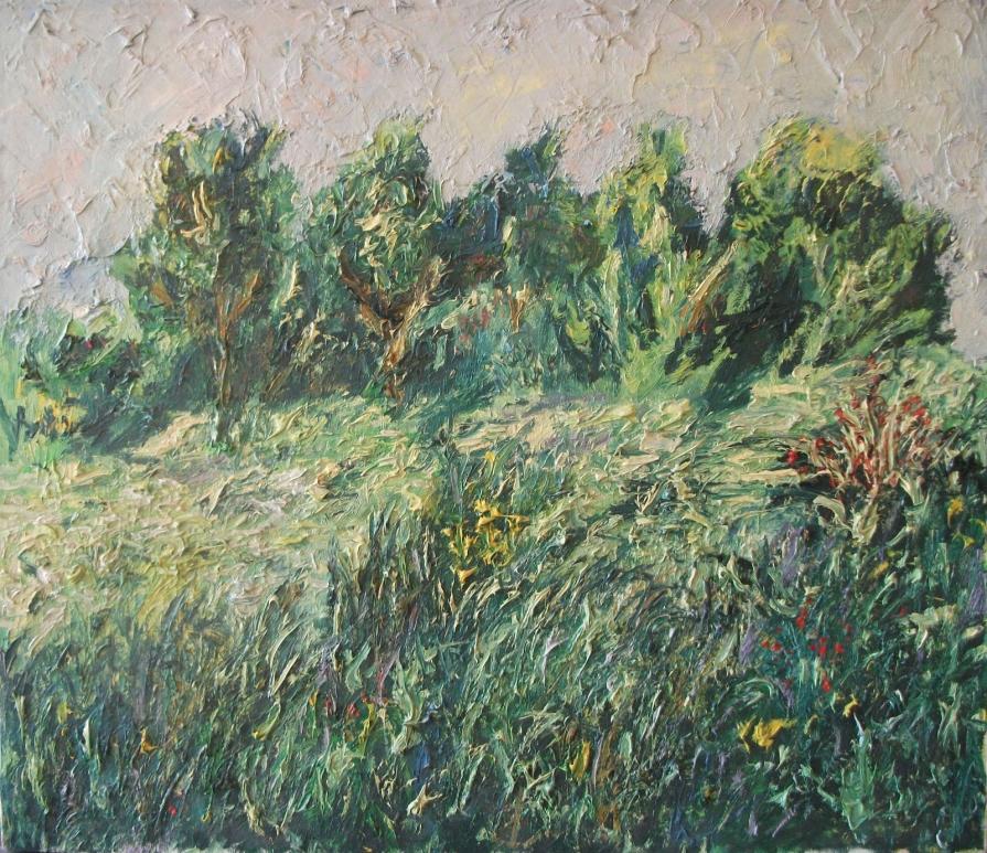 Mark Ansaloni (Belgio) - Campagna - Olio Tela - 70 X 60