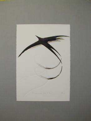 ASSENZE MATERIA DELL'ANIMA - in cammino verso la luna