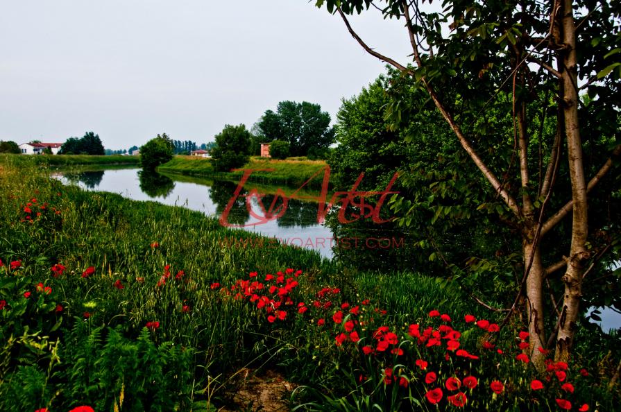 The River... In my Mind