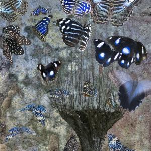 psyché, l'ultimo respiro psyché, l'ultimo respiro