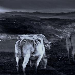 Ghosts over the hill 