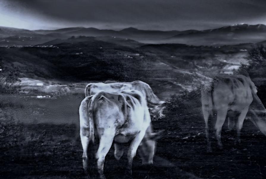 Ghosts over the hill 