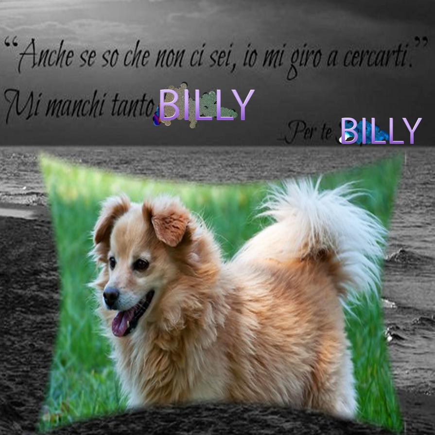 L’anima di un cane fedele va in Paradiso a raggiungere l’essere che ama !!!