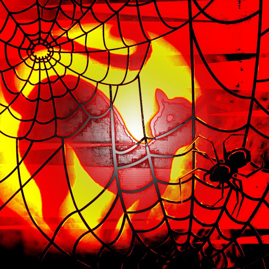 Una notte di paura !!!