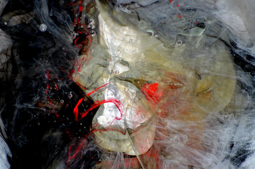 Mystery of The Universe