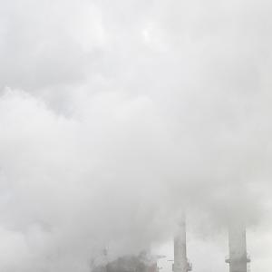 Nature in conflict (Massimo Goina e Fabiola Faidiga)