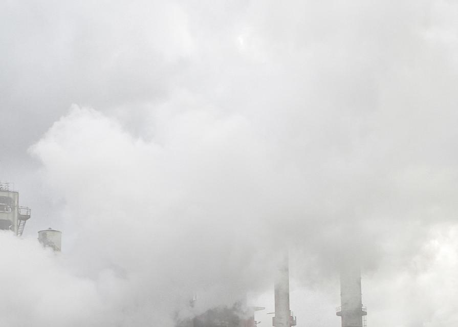 Nature in conflict (Massimo Goina e Fabiola Faidiga)