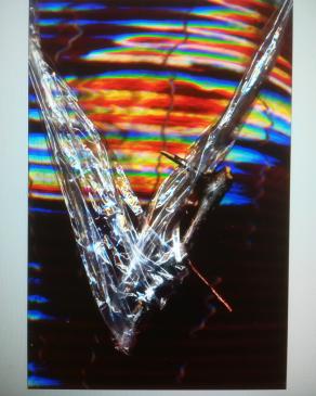 Toglimi la scimmia dal collo. 